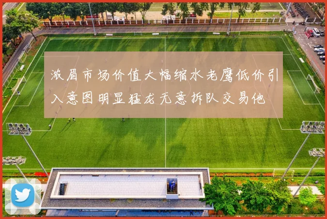 浓眉市场价值大幅缩水老鹰低价引入意图明显猛龙无意拆队交易他