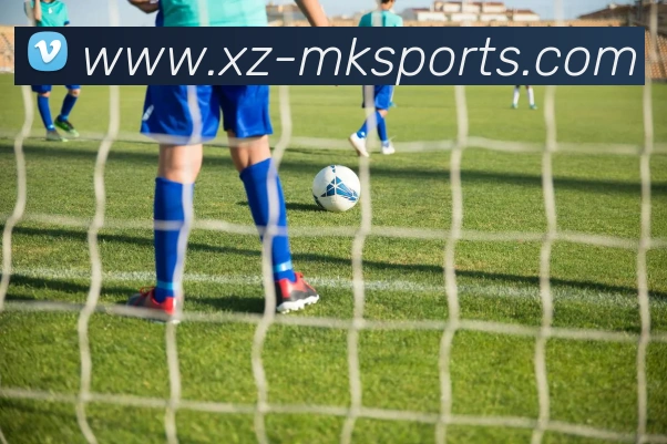 MK体育平台生态图